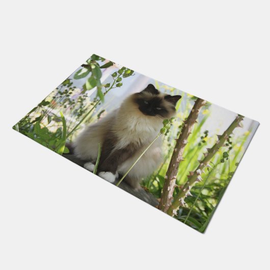 Beautiful Ragdoll Fußmatte (Schrägansicht)