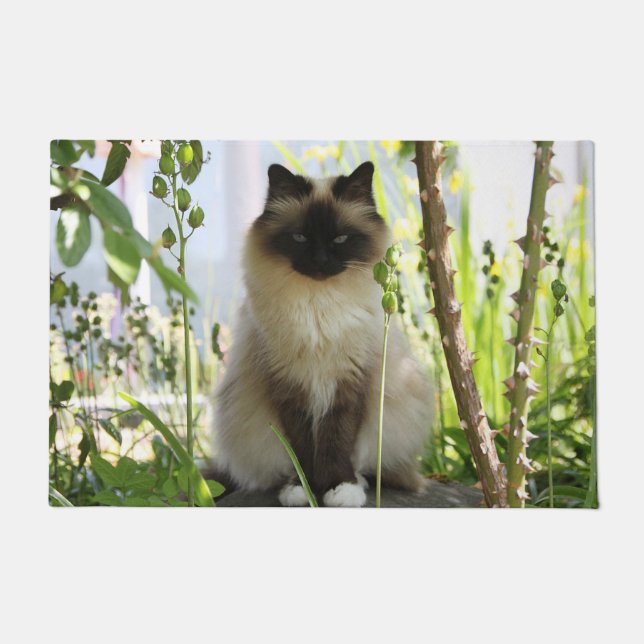 Beautiful Ragdoll Fußmatte (Vorderseite)