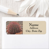 Beautiful Red Barrel Cactus Wüste Pflanze Adresse (Insitu)