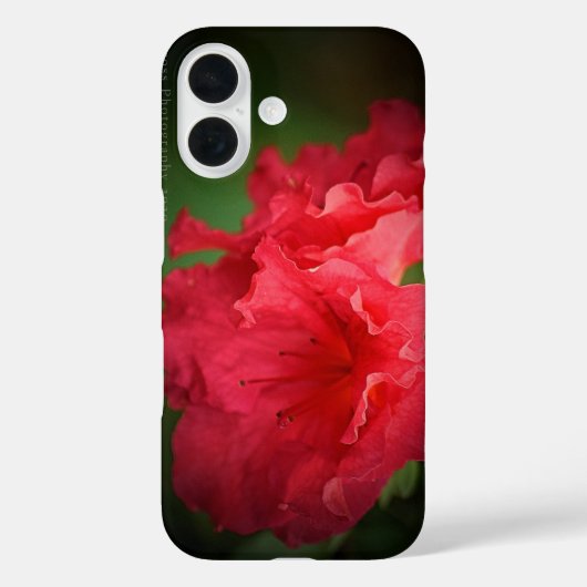 Beautiful Red Blume * Case-Mate iPhone Case (Rückseite)