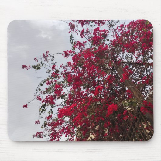 Beautiful red Bougainvillea Flowers & Cloudy Sky  Mousepad (Vorne)