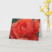 Beautiful Red Coral Rose Art Note Card Karte (Gelbe Blume)