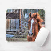 Beautiful Red Dun Ranch Horse Equine Foto Mousepad (Mit Mouse)