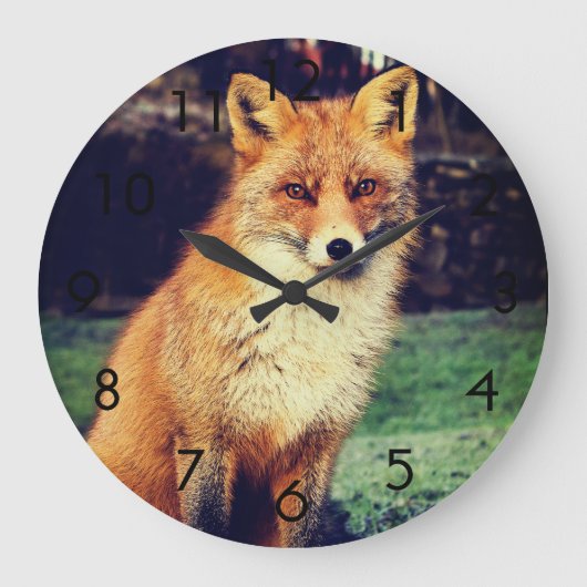 Beautiful Red Fox Große Wanduhr (Vorderseite)