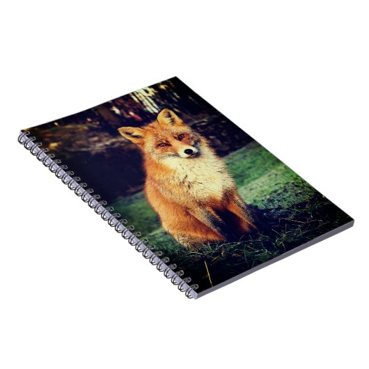 Beautiful Red Fox Notizblock (Rechte Seite)