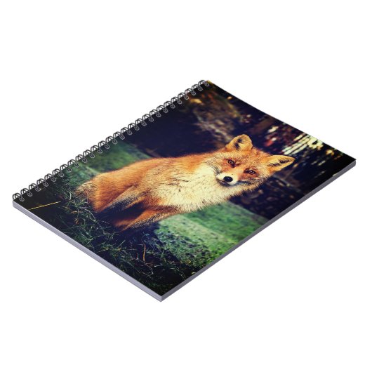 Beautiful Red Fox Notizblock (Linke Seite)