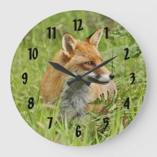 Beautiful Red Fox / Vixen Große Wanduhr