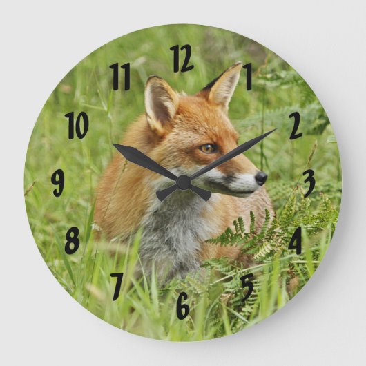 Beautiful Red Fox / Vixen Große Wanduhr (Vorderseite)