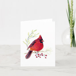 Beautiful Red Kardinal Note Card