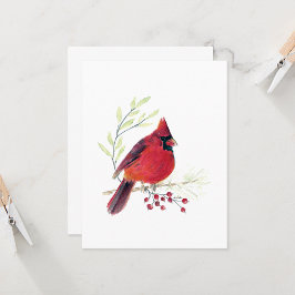 Beautiful Red Kardinal Note Card