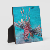 Beautiful Red Lion Fish Fotoplatte (Vorderseite)