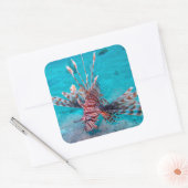 Beautiful Red Lion Fish Quadratischer Aufkleber (Umschlag)