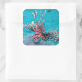 Beautiful Red Lion Fish Quadratischer Aufkleber (Tasche)