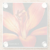 Beautiful Red Orange Asiatic Lily Gran Paradiso Glasuntersetzer (Rückseite)