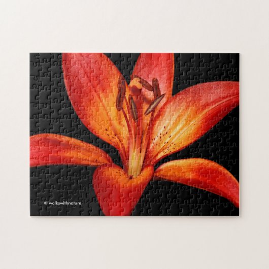Beautiful Red Orange Asiatic Lily Gran Paradiso Puzzle (Horizontal)