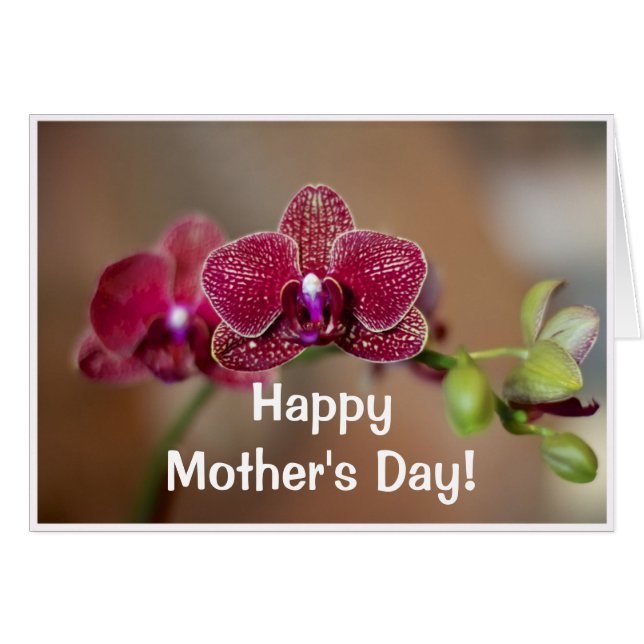 Beautiful Red Orchid (Vorderseite (Horizontal))