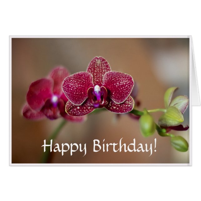 Beautiful Red Orchid (Vorderseite (Horizontal))