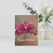 Beautiful Red Orchid Postkarte (Stehend Vorderseite)