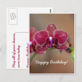 Beautiful Red Orchid Postkarte (Vorne/Hinten)
