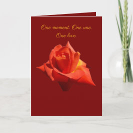 Beautiful Red Rose Isolated Photograph Vector Karte