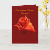 Beautiful Red Rose Isolated Photograph Vector Karte (Gelbe Blume)