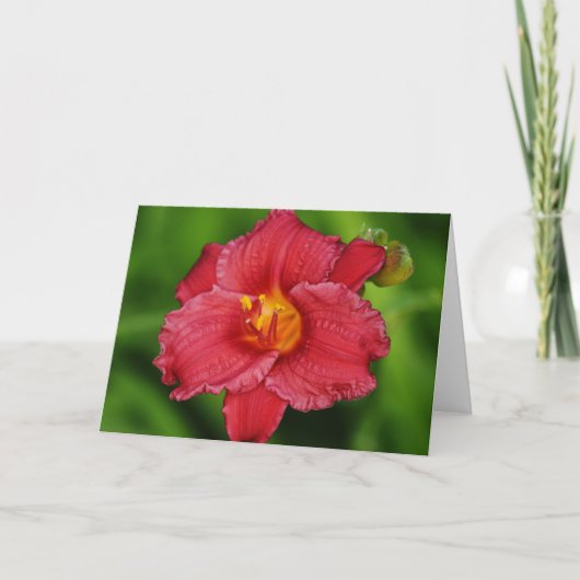 Beautiful Red Tropical Blume Note Card Karte (Vorderseite)
