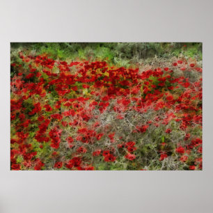 Beautiful Red Wildblume Anemones Abstrakte Kunst Poster