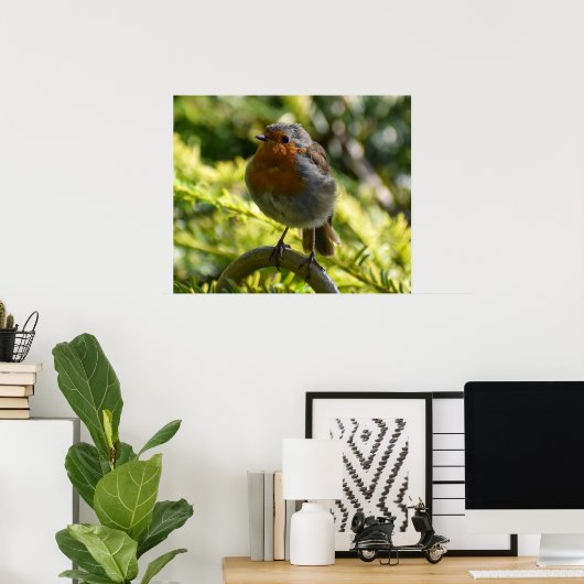 Beautiful Robin Poster (Heimbüro)