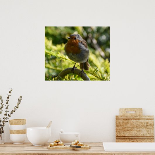 Beautiful Robin Poster (Küche)