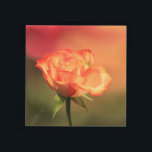 Beautiful Romantic Rose Fotograph Acryl Tablett<br><div class="desc">Pretty orange rose standing out against a blurred background in soft orange and green tones.</div>