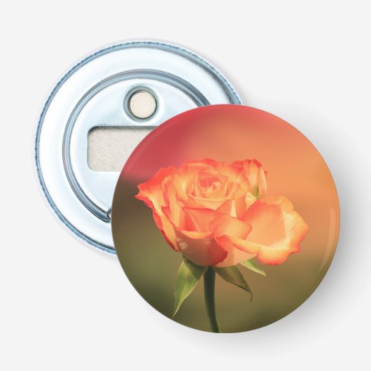 Beautiful Romantic Rose Fotograph Flaschenöffner (Vorderseite)