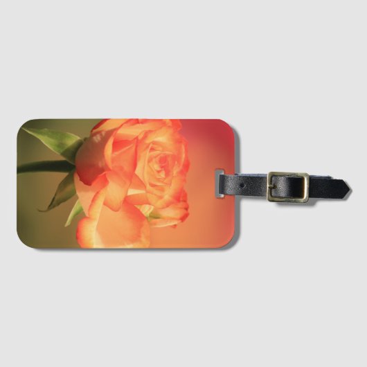 Beautiful Romantic Rose Fotograph Gepäckanhänger (Vorderseite (Horizontal))