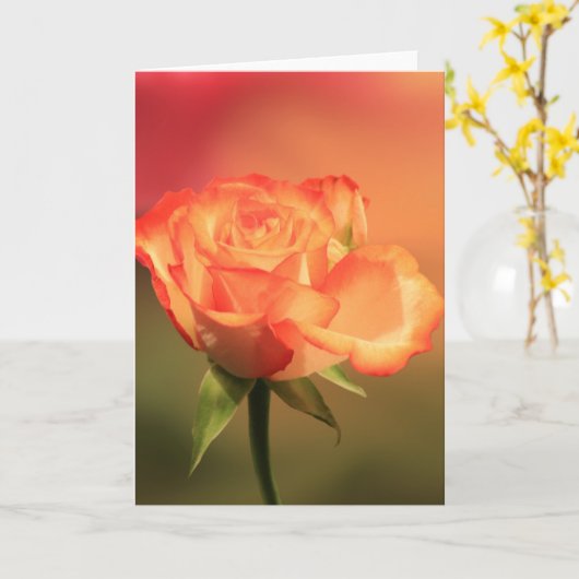 Beautiful Romantic Rose Fotograph Karte (Gelbe Blume)