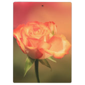 Beautiful Romantic Rose Fotograph Klemmbrett (Rückseite)