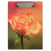 Beautiful Romantic Rose Fotograph Klemmbrett (Vorderseite)