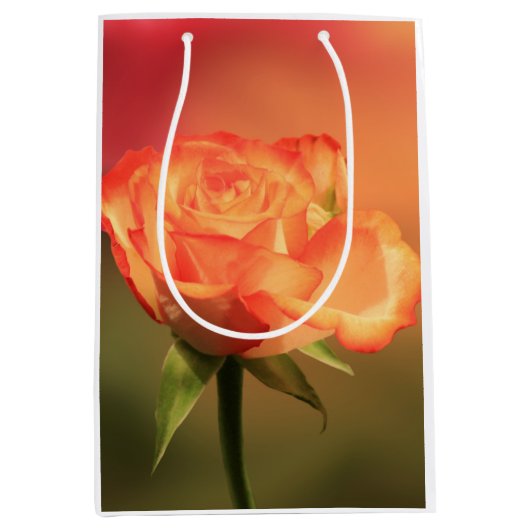 Beautiful Romantic Rose Fotograph Mittlere Geschenktüte (Vorderseite)