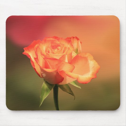 Beautiful Romantic Rose Fotograph Mousepad (Vorne)