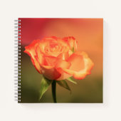 Beautiful Romantic Rose Fotograph Notizblock (Vorderseite)