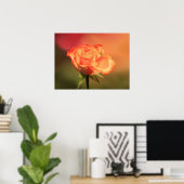 Beautiful Romantic Rose Fotograph Poster (Heimbüro)