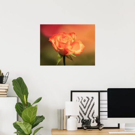Beautiful Romantic Rose Fotograph Poster (Heimbüro)