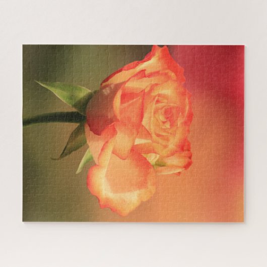 Beautiful Romantic Rose Fotograph Puzzle (Horizontal)
