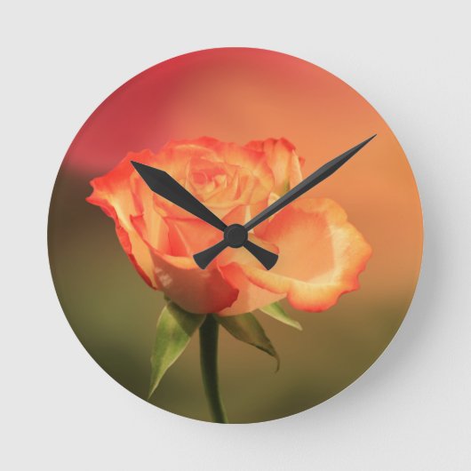 Beautiful Romantic Rose Fotograph Runde Wanduhr (Vorderseite)