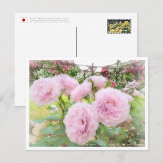 Beautiful Rose Garden Postkarte (Vorne/Hinten)
