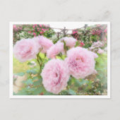 Beautiful Rose Garden Postkarte (Vorderseite)