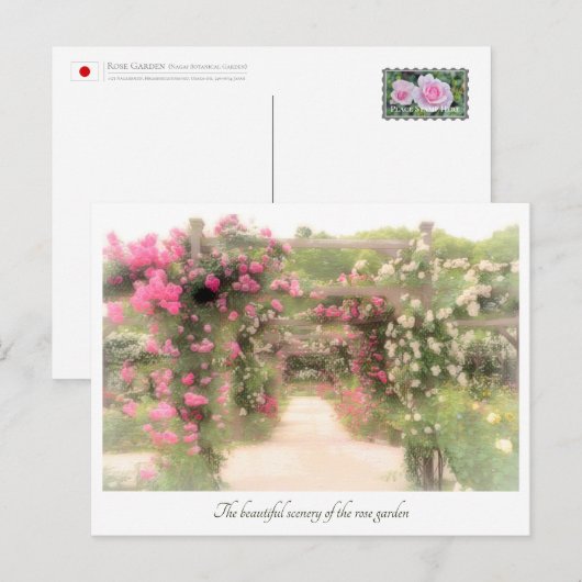 Beautiful Rose Garden Postkarte (Vorne/Hinten)