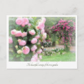 Beautiful Rose Garden Postkarte (Vorderseite)