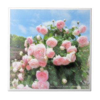 Beautiful Rose Garden Scenery Fliese
