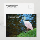 Beautiful Roseate Spoonbill Feiertagspostkarte (Vorne/Hinten)