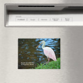Beautiful Roseate Spoonbill Magnet (In Situ (Geschirrspüler))