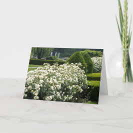 Beautiful Rosen Garden Blumengarten Foto Custom Ca Karte
